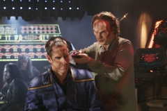 archer_phlox