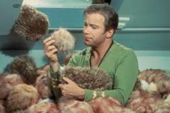 vintage_star_trek_james_friends_william_shatner_james_t_kirk_3033x1974_wallpaper_high-quality-wallpaper_1600x1200_www-wallpaperhi-com