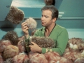 vintage_star_trek_james_friends_william_shatner_james_t_kirk_3033x1974_wallpaper_high-quality-wallpaper_1600x1200_www-wallpaperhi-com