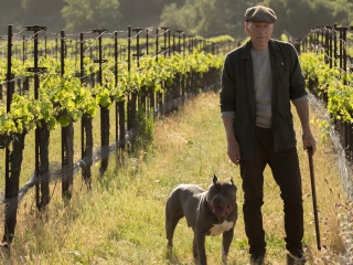 STAR TREK: PICARD